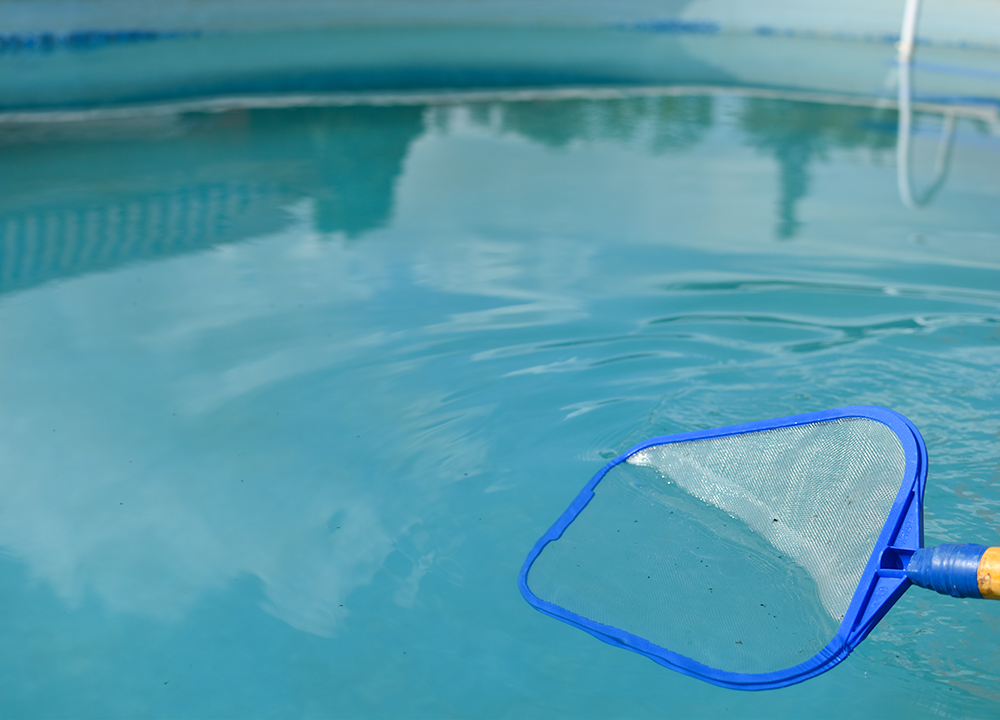 Red manual para quitar insectos de una piscina